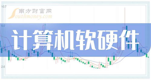 2025年计算机软硬件行业领军公司展望